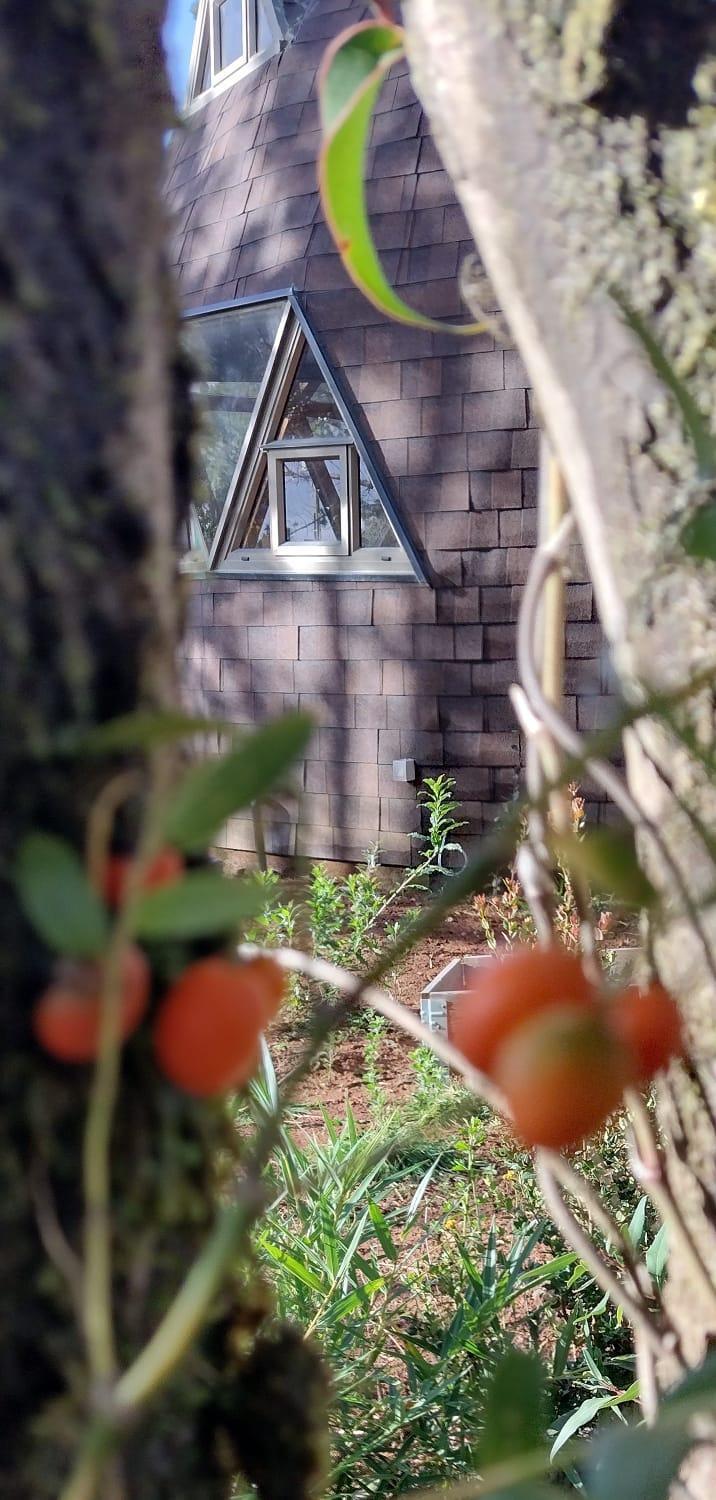 Apartamento Domos Entre Luna Y Bosque